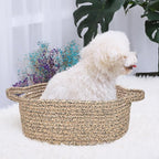 ABenkle Small Basket with Handles - Image 3