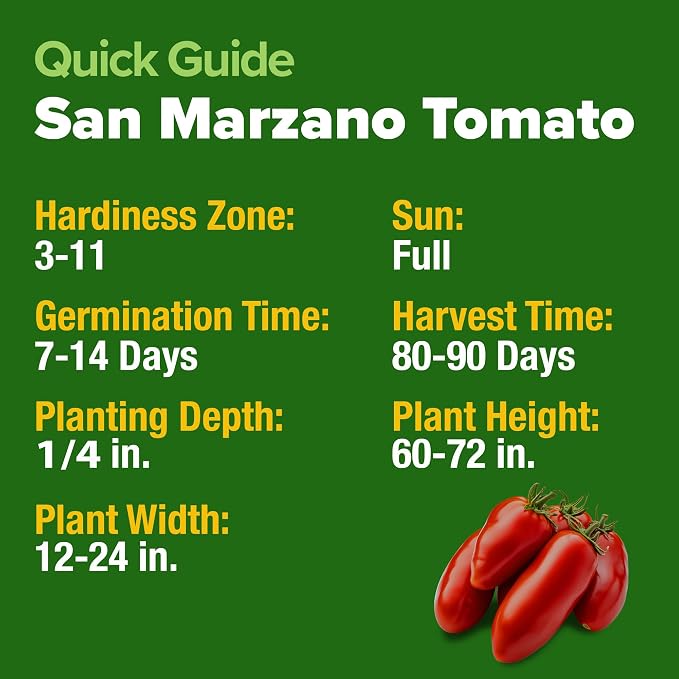 HOME GROWN San Marzano Tomato Seeds 66+ Heirloom Non-GMO Seeds - Image 5