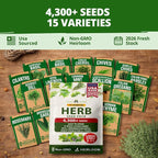 HOME GROWN Herb Seeds for Planting 15-Pack Massive Seed Count 4, 300+ Seeds - Image 8