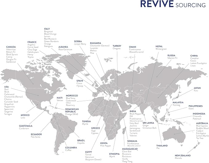Purify Essential Oil Blend 30 mL by Revive Essential Oils - Image 7