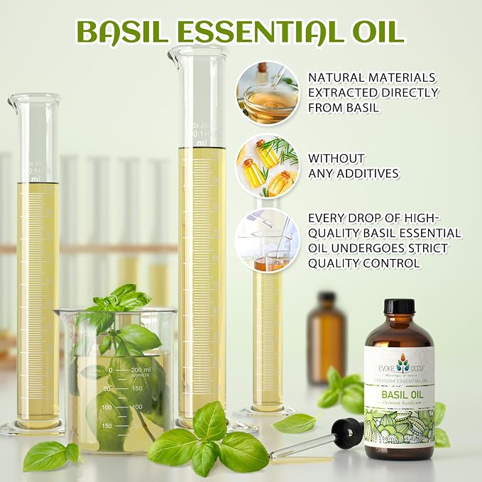 EVOKE OCCU Basil Essential Oil for Skin Massage Diffuser and Candle Making- 4 - Image 3
