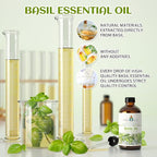 EVOKE OCCU Basil Essential Oil for Skin Massage Diffuser and Candle Making- 4 - Image 3