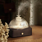 Glass Dome Essential Oil Diffuser by Levoair