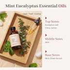 Mint & Eucalyptus Essential Oils - Image 2