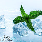 EuroSpa Aromatics Pure Eucalyptus Oil ShowerMist and Steam Room Spray, - Image 3