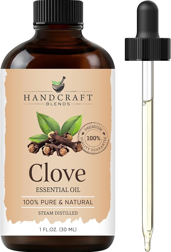 Handcraft Blends Clove Essential Oil – 1 Fl Oz – 100% Pure and Natural – by HandcraftBlends