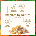 SVA Frankincense Essential Oil – 1 Fl Oz – 100% Natural Boswellia Carterii Oil - Image 3