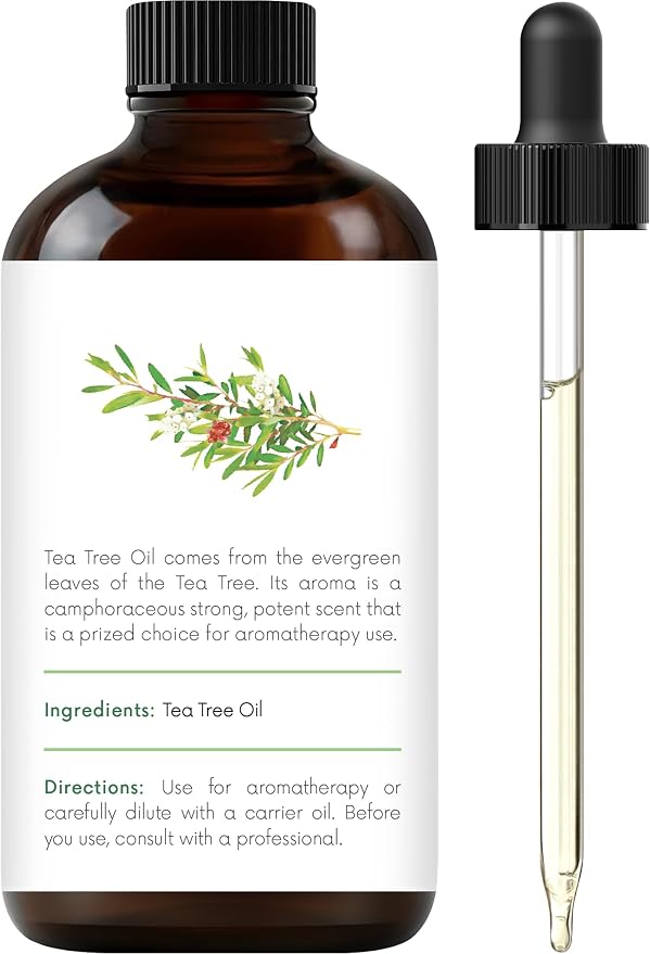 Handcraft Blends Tea Tree Essential Oil – 1 Fl Oz – 100% Pure and Natural – - Image 2