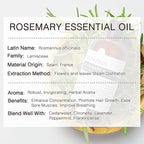 Rosemary Essential Oil 100ML, 100% Pure Rosemary Oil - Image 7