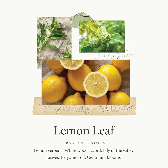 Thymes Home Fragrance Mist – Room Air Fresheners - Image 2