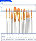 BOSOBO Paint Brushes Set, 4 Pack 40 Pcs Round Pointed Tip Paintbrushes Nylon - Image 6