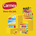 Carmex Daily Care and Daily Care Minis Moisturizing Lip Balm Pack, SPF 15 - Image 6