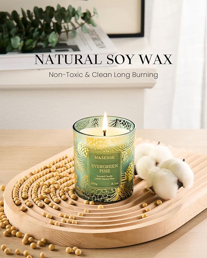 M&SENSE Eucalyptus Scented Vegan Soy Candles, No Toxin Calming Aromatherapy - Image 3