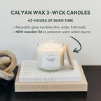 Calyan Wax Co. Aspen & Fog 3 Wick Scented Candle - Image 4