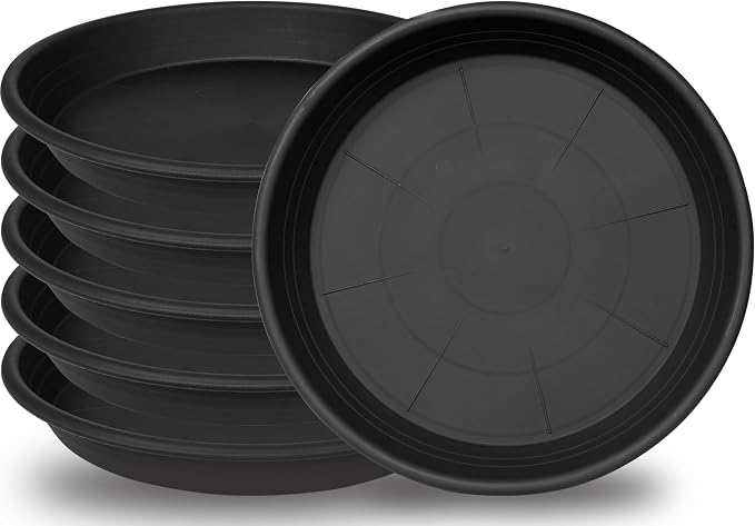 6 Pack Plant Saucers for Indoors, 4 5 6 7 8 9 10 11 12 13 15 17 19 inch Plant by Unknown