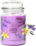 Spotless Leopard Vanilla & Lavender Candle 22oz Glass Jar by SpotlessLeopard
