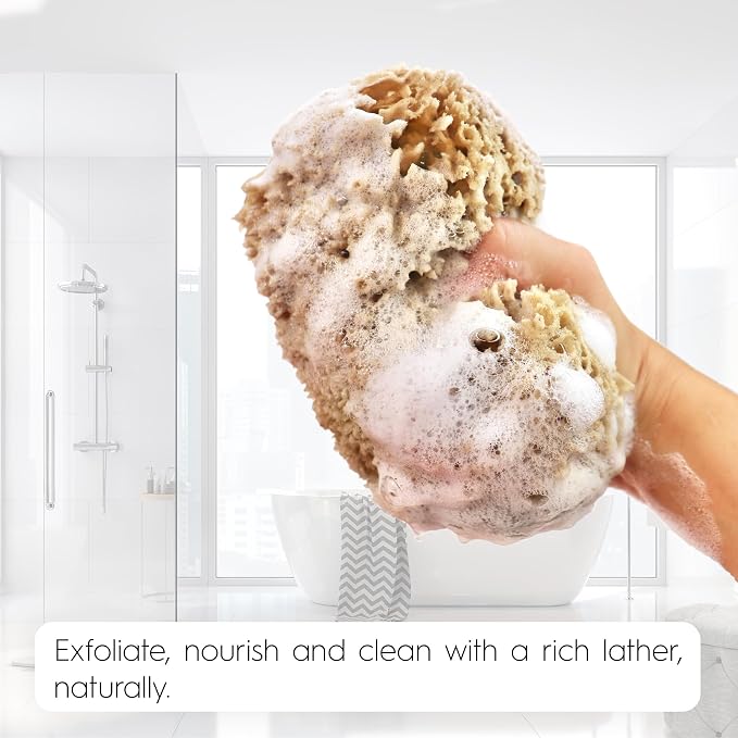 Naroa Exfoliating Natural Sponge - Image 7