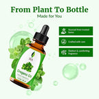 SVA Oregano Essential Oil – 1 Fl Oz – 100% Natural Oregano Oil - Image 5