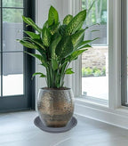 2 Pack of 19 inch Plant Saucer, Large Plant Tray, Heavy Sturdy Plant Drainage - Image 3