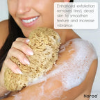 Naroa Exfoliating Natural Sponge - Image 4