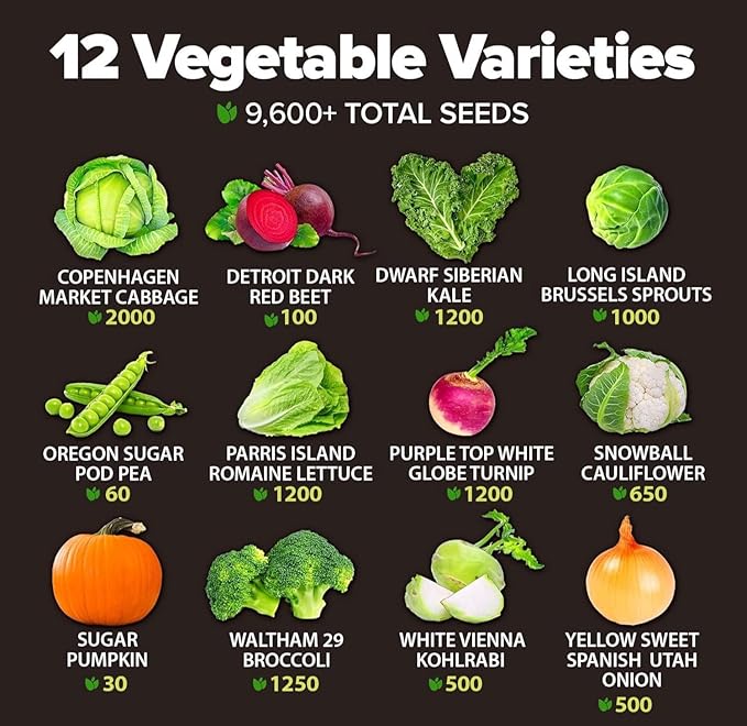 HOME GROWN 12 Fall Vegetable Seeds 9600+ Heirloom Non-GMO, High Germination - Image 3