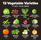 HOME GROWN 12 Fall Vegetable Seeds 9600+ Heirloom Non-GMO, High Germination - Image 3