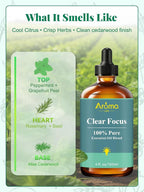 Clear Focus — A 100% Pure Essential Oil Blend, Cool-Citrus Herbal Blend that - Image 3