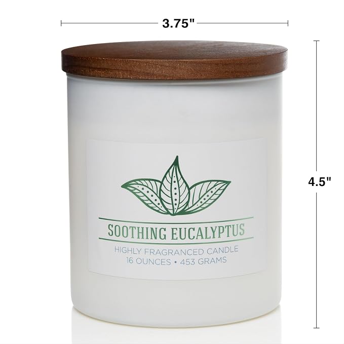 Carolina Soothing Eucalyptus Scented Candle, 16 oz Wellness Relaxing - Image 5