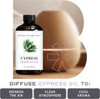 Brooklyn Botany Cypress Essential Oil - Image 5