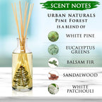 Urban Naturals Pine Forest Reed Diffuser Set - Image 6