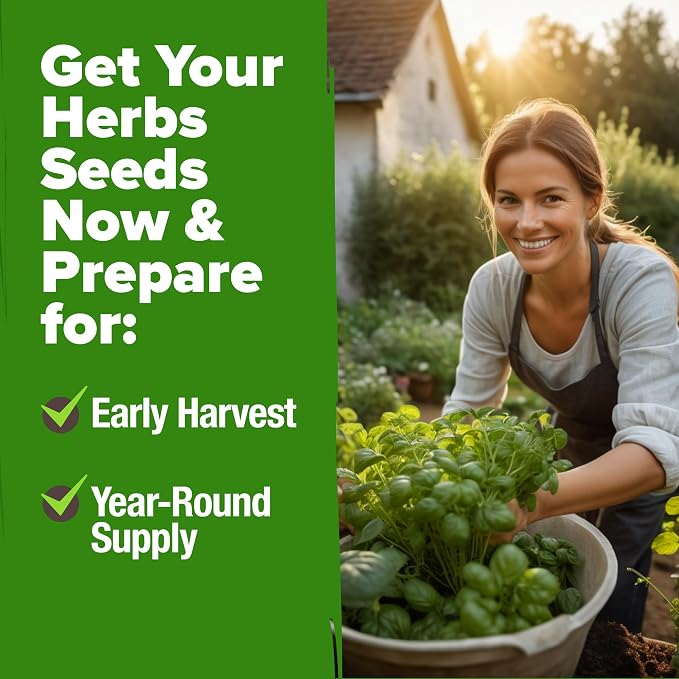 HOME GROWN 10 Herb Seeds for Planting 3, 000+ Non-GMO Heirloom Seeds | Extra - Image 7