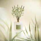 Cocorrína Reed Diffuser - Image 4