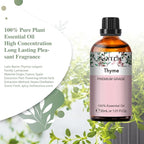 Thyme Essential Oil, 1.01Fl.Oz PHATOIL Pure Essential Oil Singles - Image 2