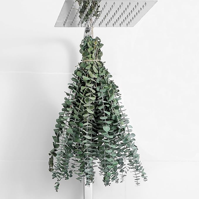 10 Pcs Dried Eucalyptus Stems 17" Real Eucalyptus by FAVOWREATH