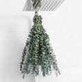 10 Pcs Dried Eucalyptus Stems 17" Real Eucalyptus by FAVOWREATH
