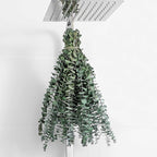 10 Pcs Dried Eucalyptus Stems 17" Real Eucalyptus by FAVOWREATH
