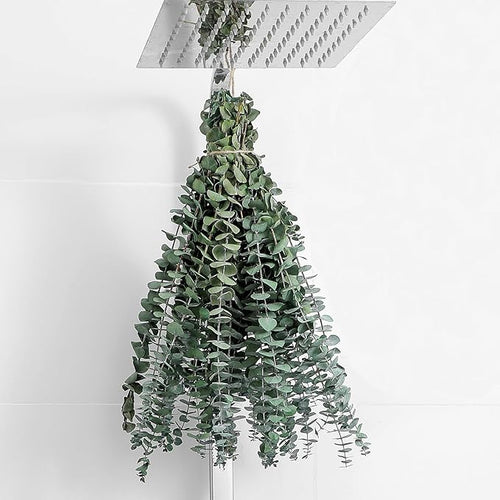 10 Pcs Dried Eucalyptus Stems 17" Real Eucalyptus by FAVOWREATH