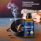 Organic Cinnamon Essential Oil 30 ml - Image 6