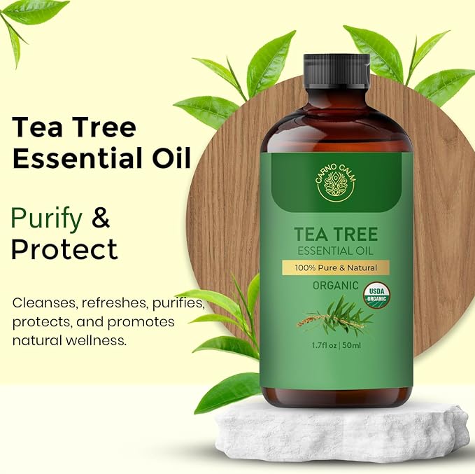 Tea Tree Oil for Skin– 100% Pure Organic Tea Tree Essential Oil for Face - Image 3