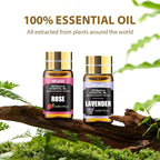 NESCCI Essential Oil Gift Set -Perfect - Image 2