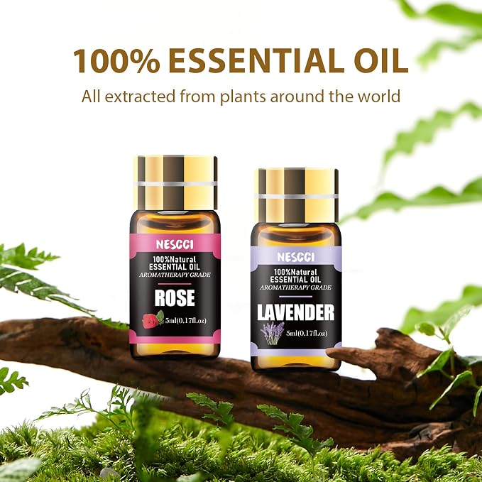 NESCCI Essential Oil Gift Set -Perfect - Image 2