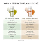 Dr.Ceuracle Vegan Kombucha Tea Essence - Image 2