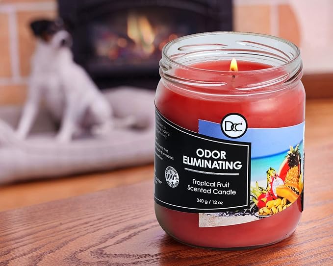 Tropical Fruit Odor Eliminating Highly Fragranced Candle - Image 5