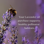 Lavender Essential Oil 5ml by Young Living – Pure Lavender Oil - Image 6