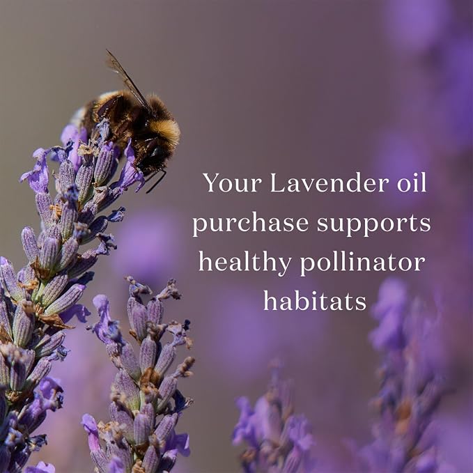 Lavender Essential Oil 5ml by Young Living – Pure Lavender Oil - Image 6