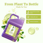 SVA Moringa Seed Oil Organic - Image 4