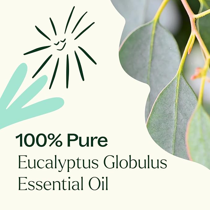 Plant Therapy Eucalyptus Globulus Essential Oil, 30 mL, - Image 2