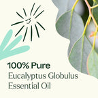 Plant Therapy Eucalyptus Globulus Essential Oil, 30 mL, - Image 2