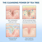 Botanic Hearth Tea Tree & Mint Body Wash - Image 8