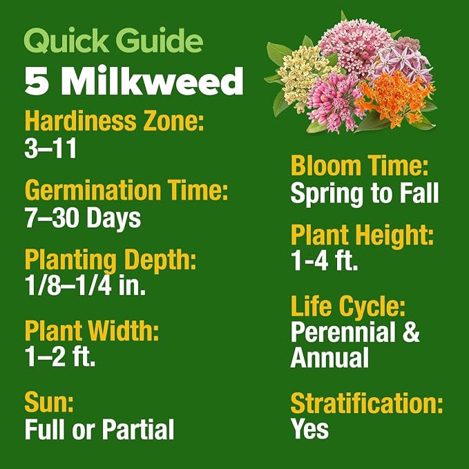 HOME GROWN Milkweed Flower Seeds - Image 3